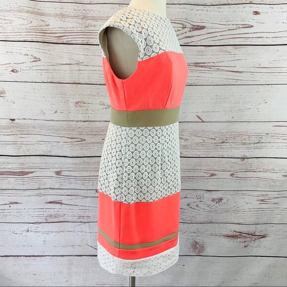 Sandra Darren neon coral white beige lace sheath - Picture 3 of 14